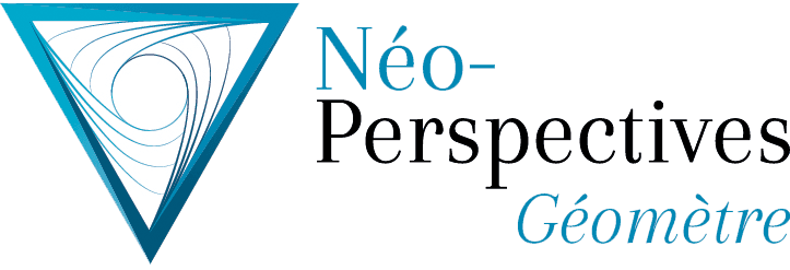 Neo Perspectives